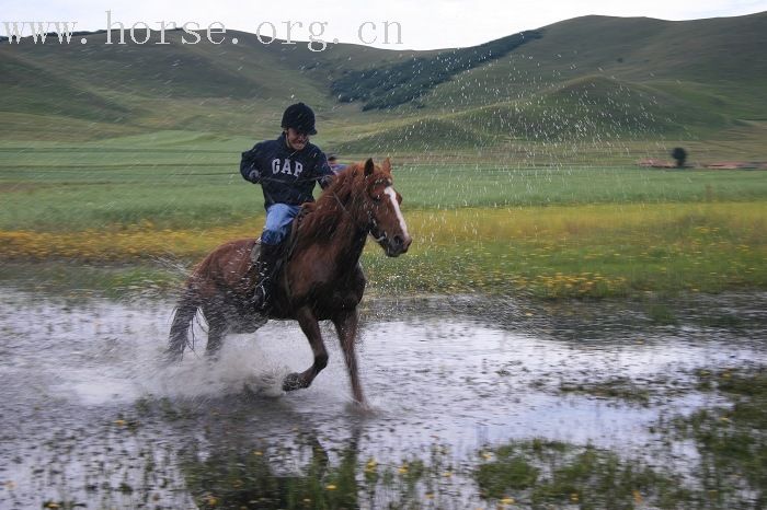 [贴图]继续8.18传奇照片汇报