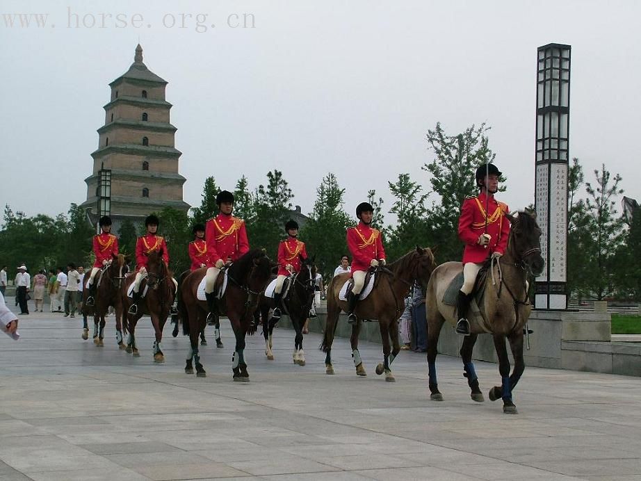 [贴图]西安礼宾骑兵队