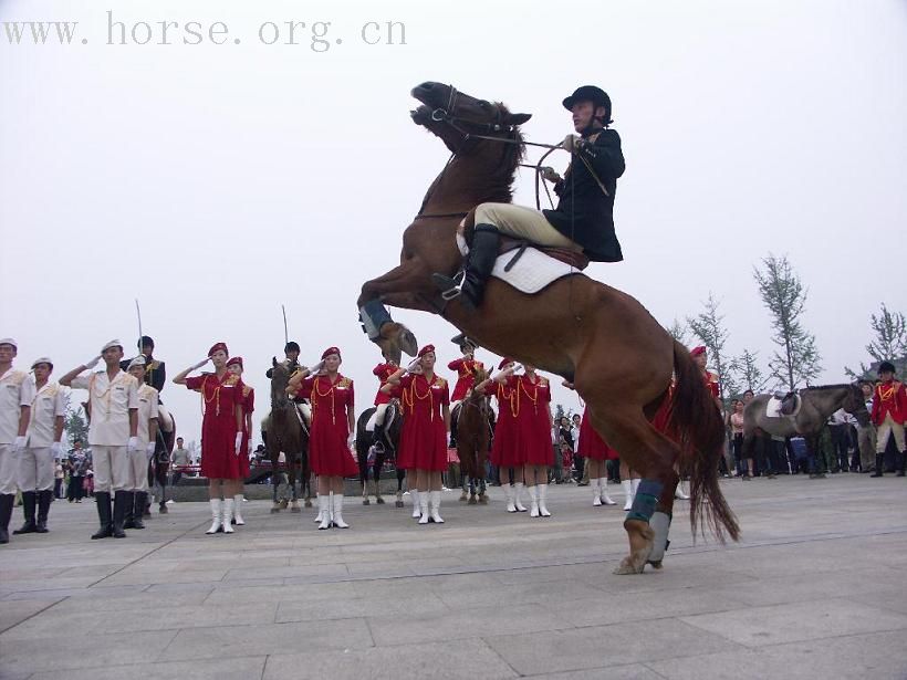 [贴图]西安礼宾骑兵队