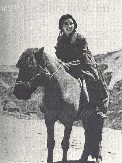 名人骏马