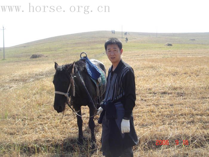 16号坝上活动，认领照片啦