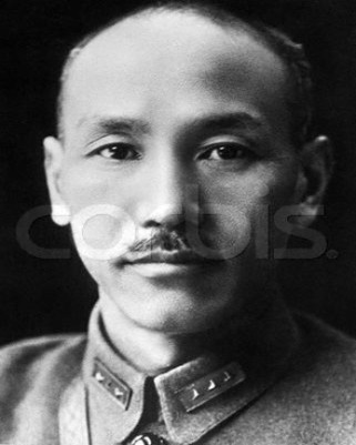 大家看看長得像不像