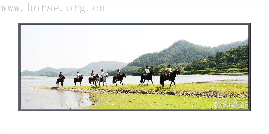 骏马飞扬在青山绿水之间-----浙江台州马友野骑的照片