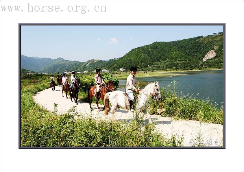 骏马飞扬在青山绿水之间-----浙江台州马友野骑的照片