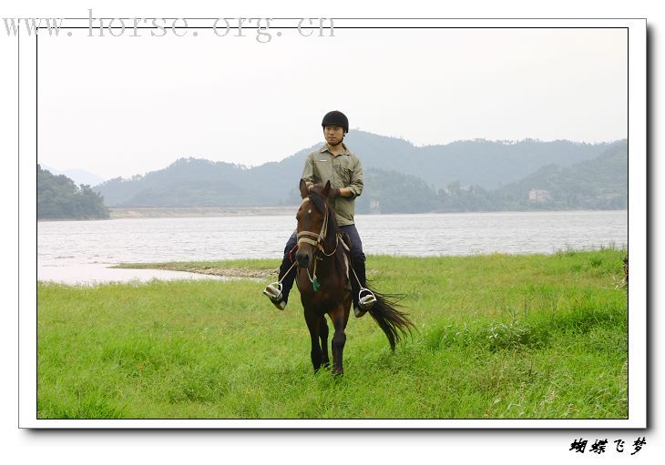 骏马飞扬在青山绿水之间-----浙江台州马友野骑的照片