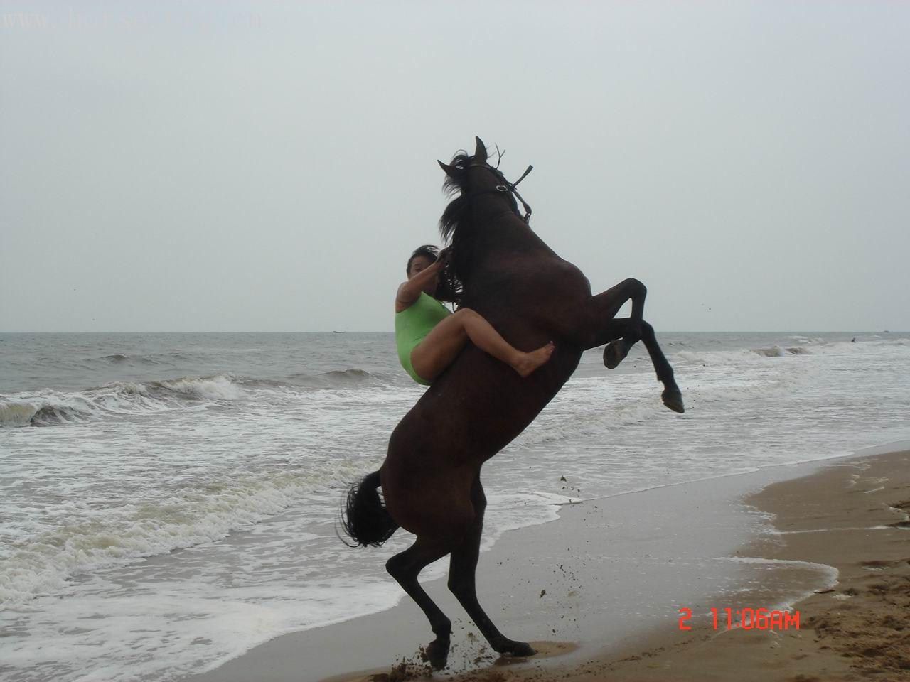 再贴一些9/2海边骑马照片-小心眼珠掉出来3