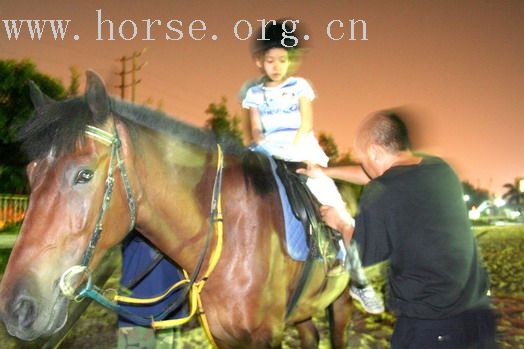 驰骋沙场！宗正骑士俱乐部欢迎您