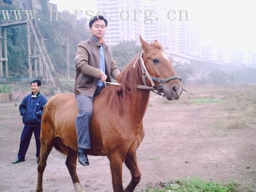 认识一下重庆第一快骑士