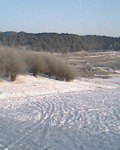 雪地跑马场(贴图)