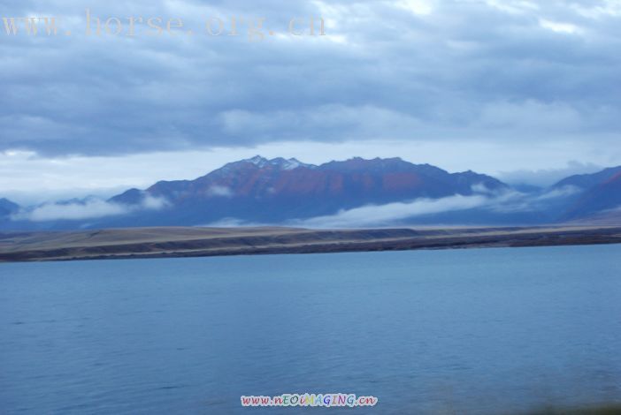 十一 甘肃山丹军马场