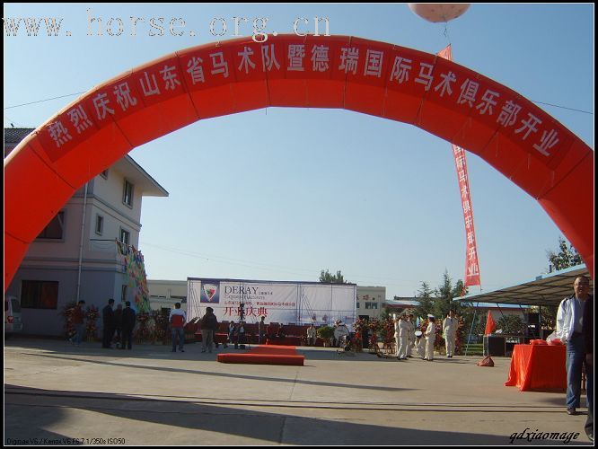 [贴图]热烈祝贺山东马术队成立！