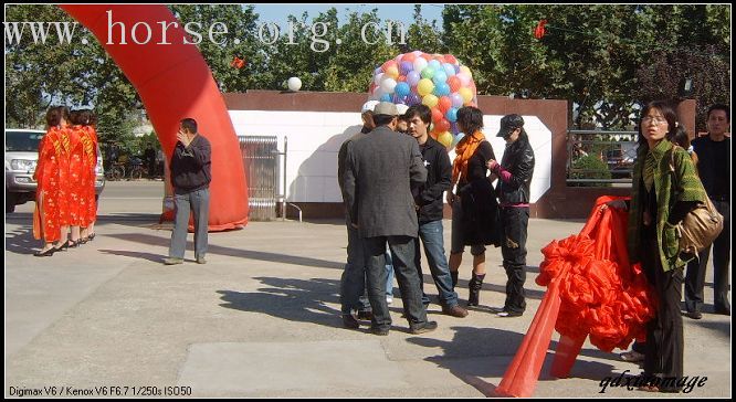[贴图]热烈祝贺山东马术队成立！
