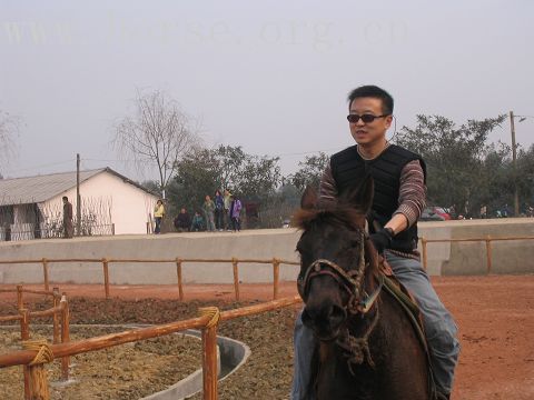 成都大马帮洛带马场活动记录