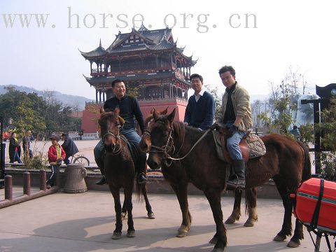 成都大马帮洛带马场活动记录