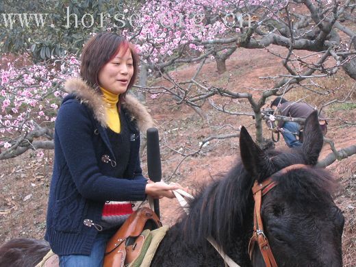 3月10日骑游洛带--百工堰活动汇报及采访过程