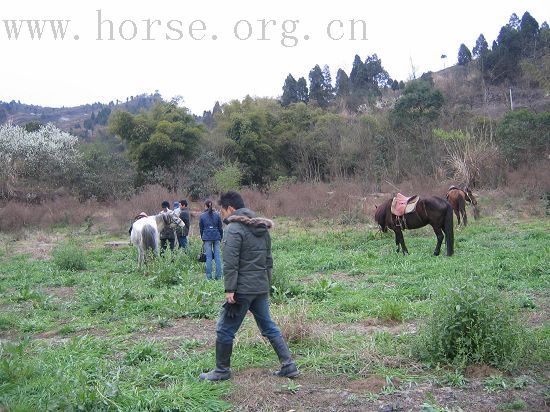 成都大马帮将与成都马主协会举行野骑联谊会及民族歌舞篝火烧烤晚会