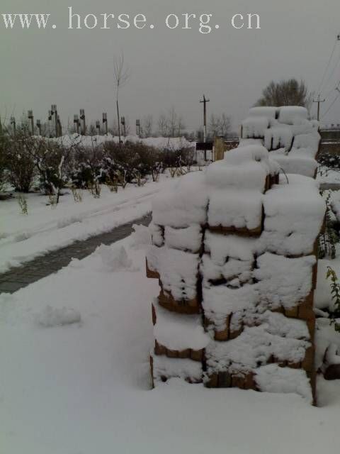 [贴图]雨后雪中行