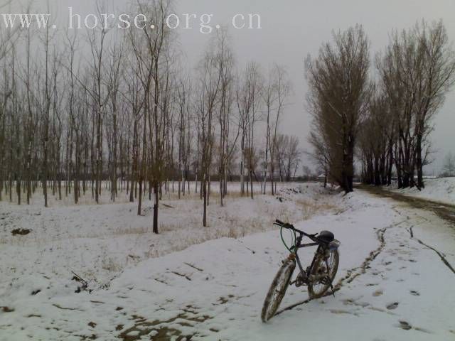 [贴图]雨后雪中行