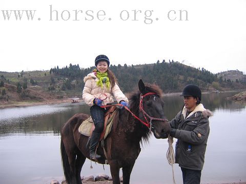 3月3马帮骑游洛带玉带湖及马友生日会