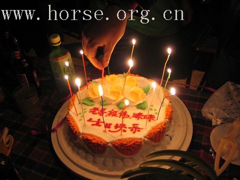 3月3马帮骑游洛带玉带湖及马友生日会