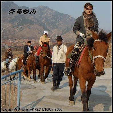 邀请马友青岛骑马踏青去---本活动由青岛风凰山庄赞助支持!