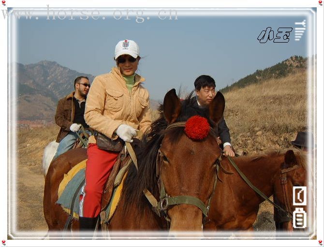 邀请马友青岛骑马踏青去---本活动由青岛风凰山庄赞助支持!
