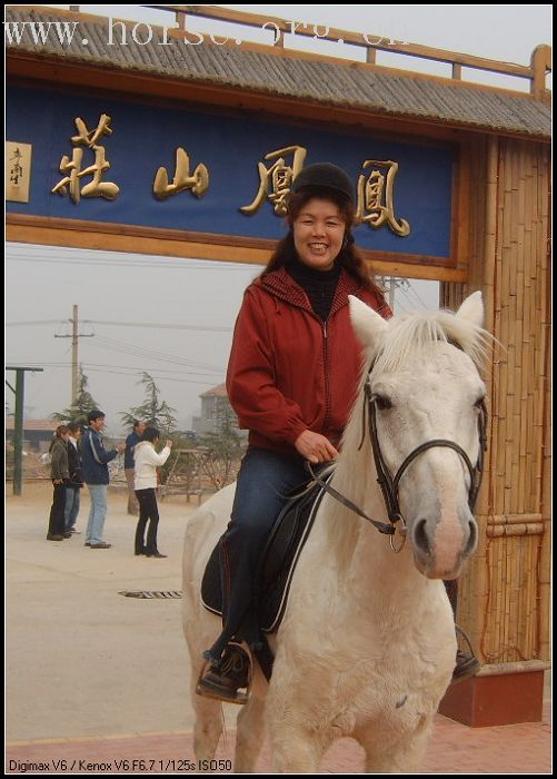 邀请马友青岛骑马踏青去---本活动由青岛风凰山庄赞助支持!