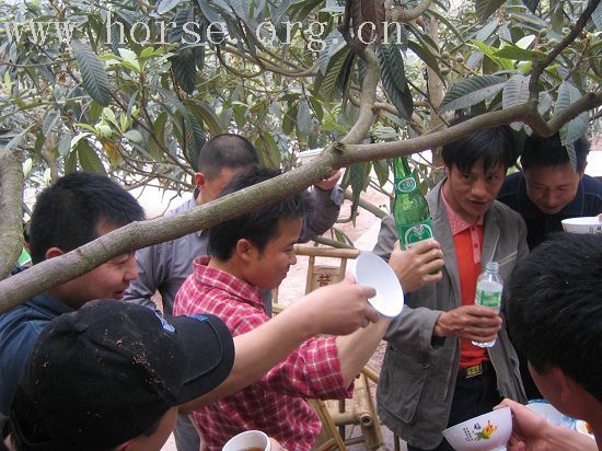 成都大马帮将与成都马主协会举行野骑联谊会及民族歌舞篝火烧烤晚会