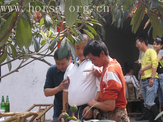 成都大马帮将与成都马主协会举行野骑联谊会及民族歌舞篝火烧烤晚会