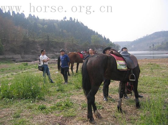 成都大马帮将与成都马主协会举行野骑联谊会及民族歌舞篝火烧烤晚会