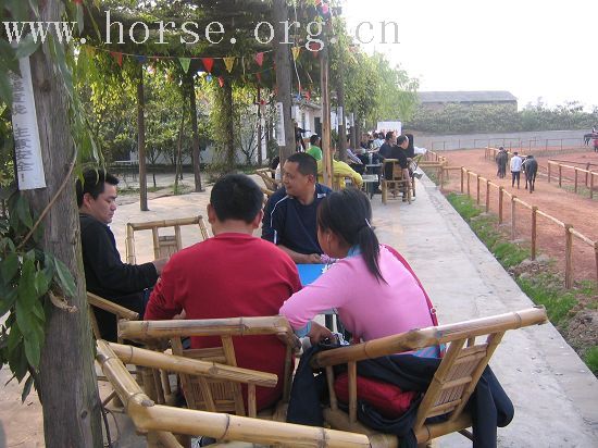 成都大马帮将与成都马主协会举行野骑联谊会及民族歌舞篝火烧烤晚会