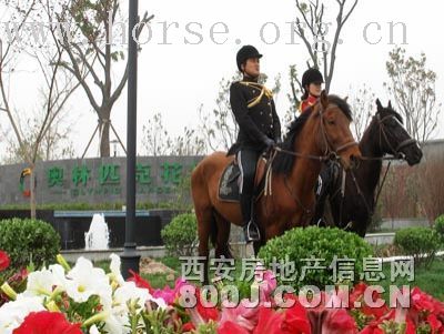 西安奥林匹克花园邀请参加活动