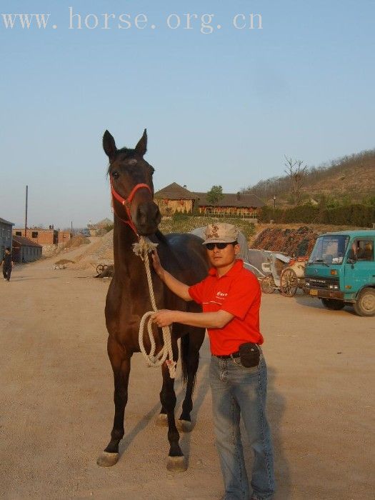 邀请马友青岛骑马踏青去---本活动由青岛风凰山庄赞助支持!