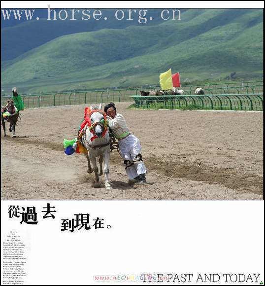 大家一起欣赏