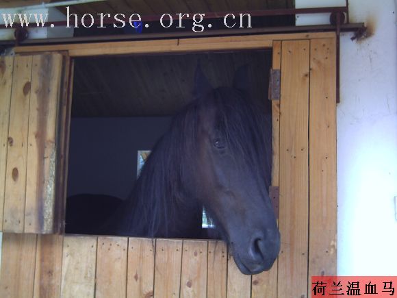 和境游
