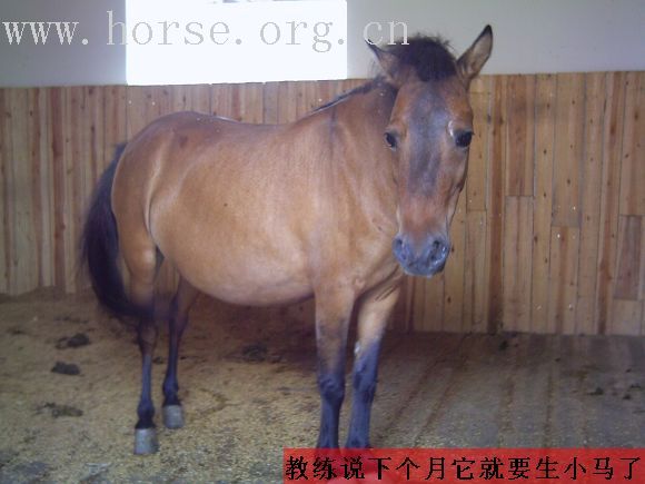 和境游