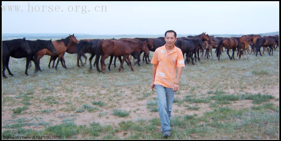 2007.7.26日想去锡林格勒草原....