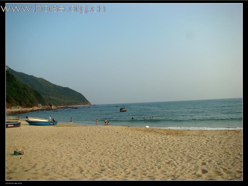 上周末带爱马海边归来