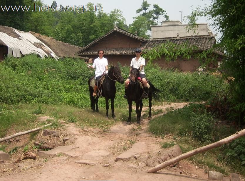 三人的旅游
