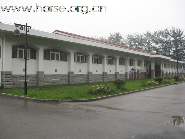 又回体大——现代五项马术训练基地