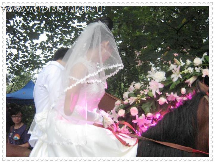 [灌水]  CICI 的婚礼
