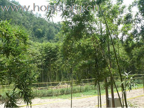 改建后马场环境
