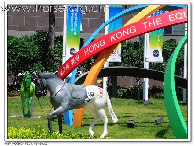 阳光灿烂的日子--奥运香港行1