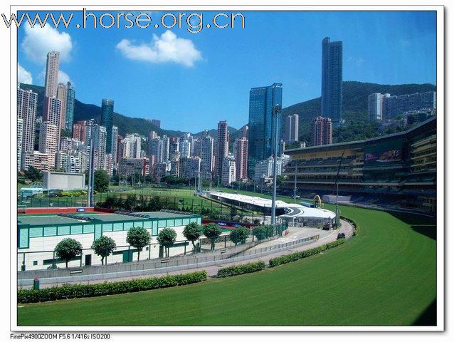 阳光灿烂的日子--奥运香港行1