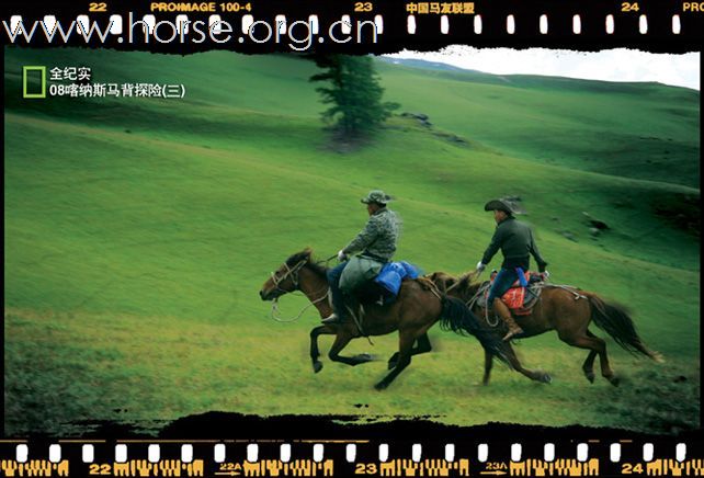 何日与马