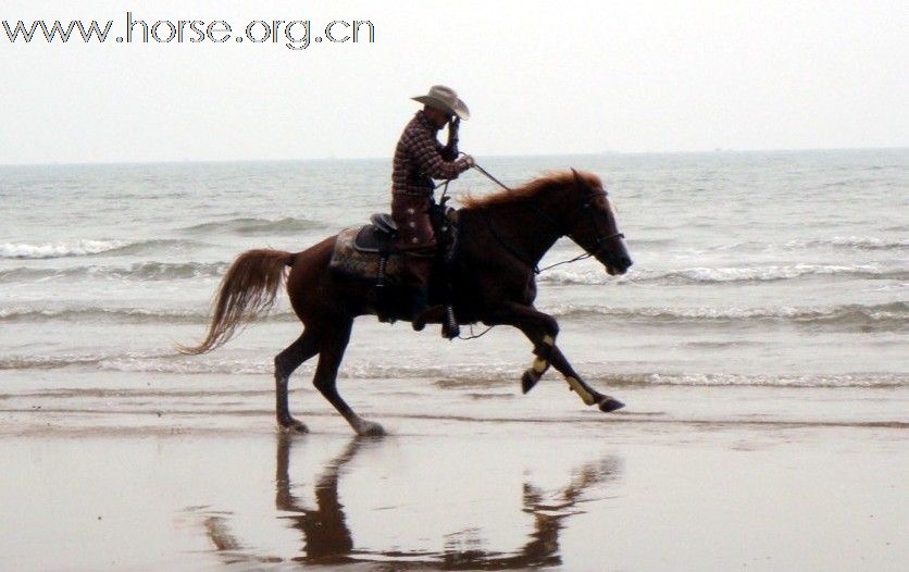 何日与马