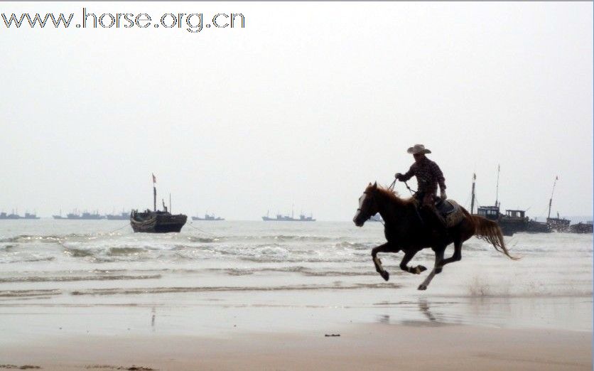 何日与马