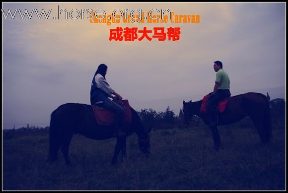 10.31我们马帮一行25匹马前往崇州