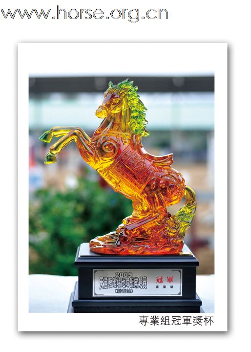 2009天麓骑术场地障碍常规赛(新春站)比赛成绩
