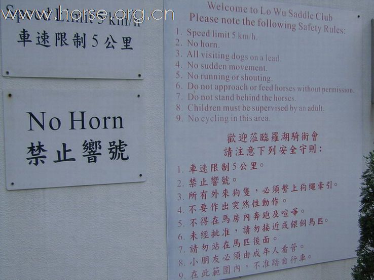 香港 - 羅湖騎術會